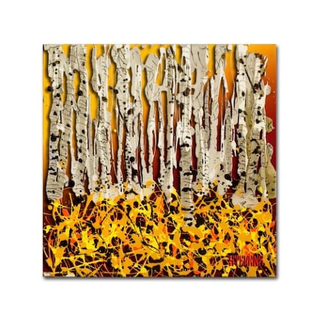 Roderick Stevens 'Silver Aspens' Canvas Art,24x24